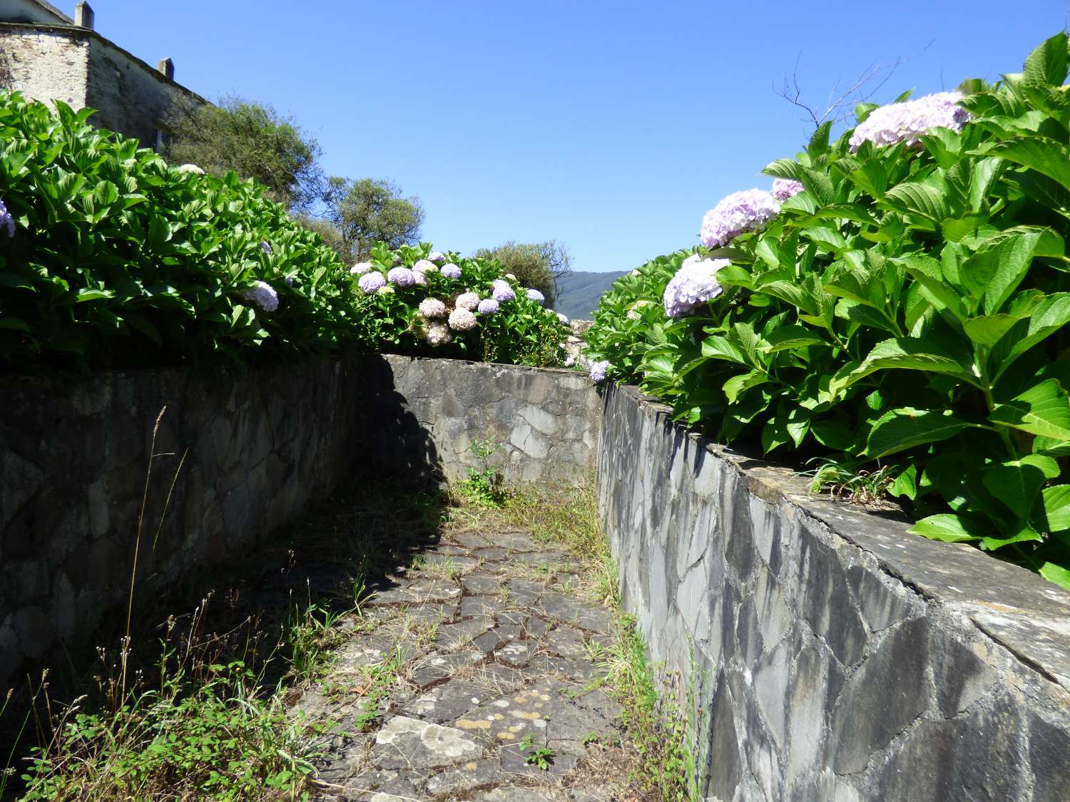 Villa en vente à Mondoñedo