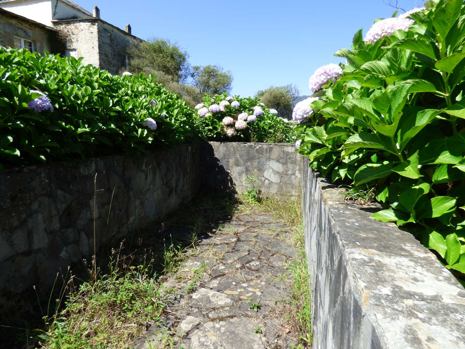 Villa en vente à Mondoñedo