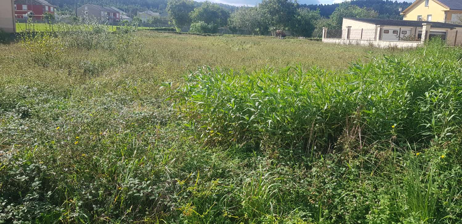 Parcela urbana en Ribadeo